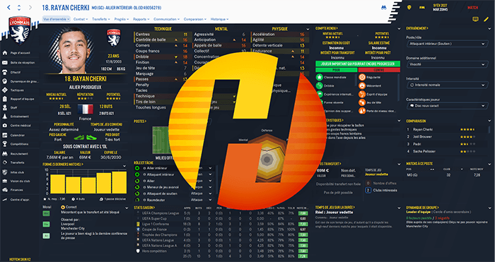 Heffem Skin V1 for FM21
