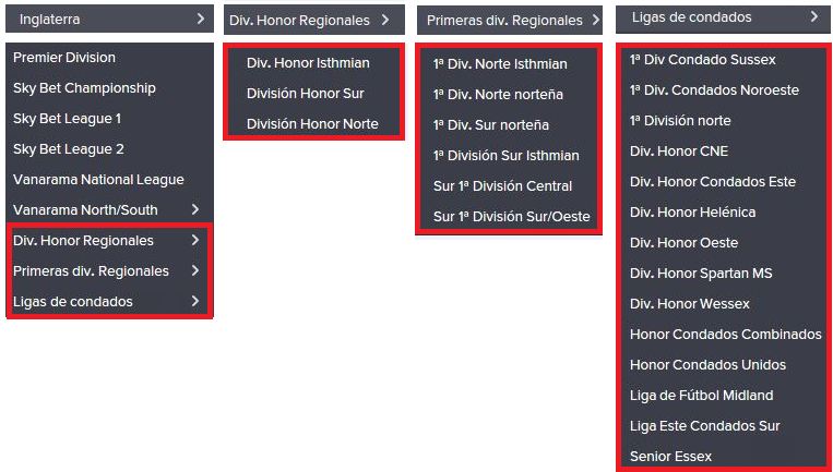 Ligas Inglesas con sus ligas regionales - 9 Niveles