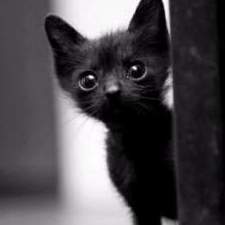 blackmoix