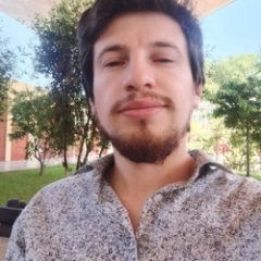 Diego26