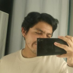 GabrielF2311