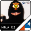 Ninja123