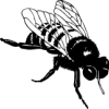 deephornet